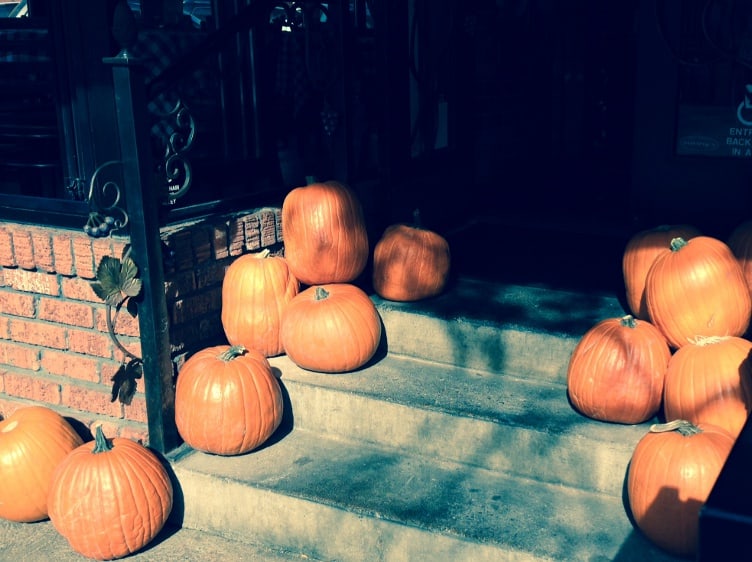 boulder organic halloween