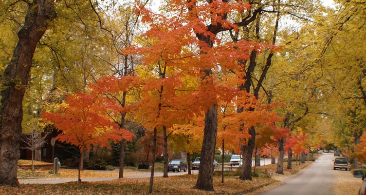 Boulder Neighborhood Guide: Mapleton Hill