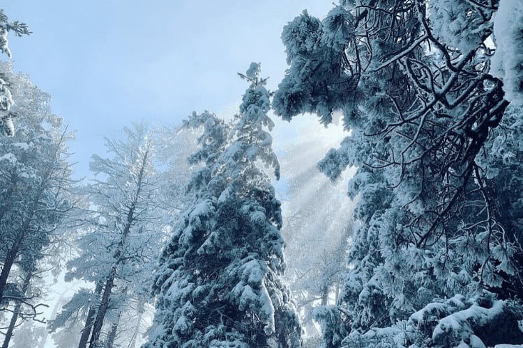 winter hikes boulder