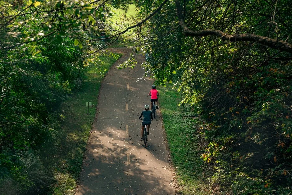 Two cyclists ride a tree-shaded paved path