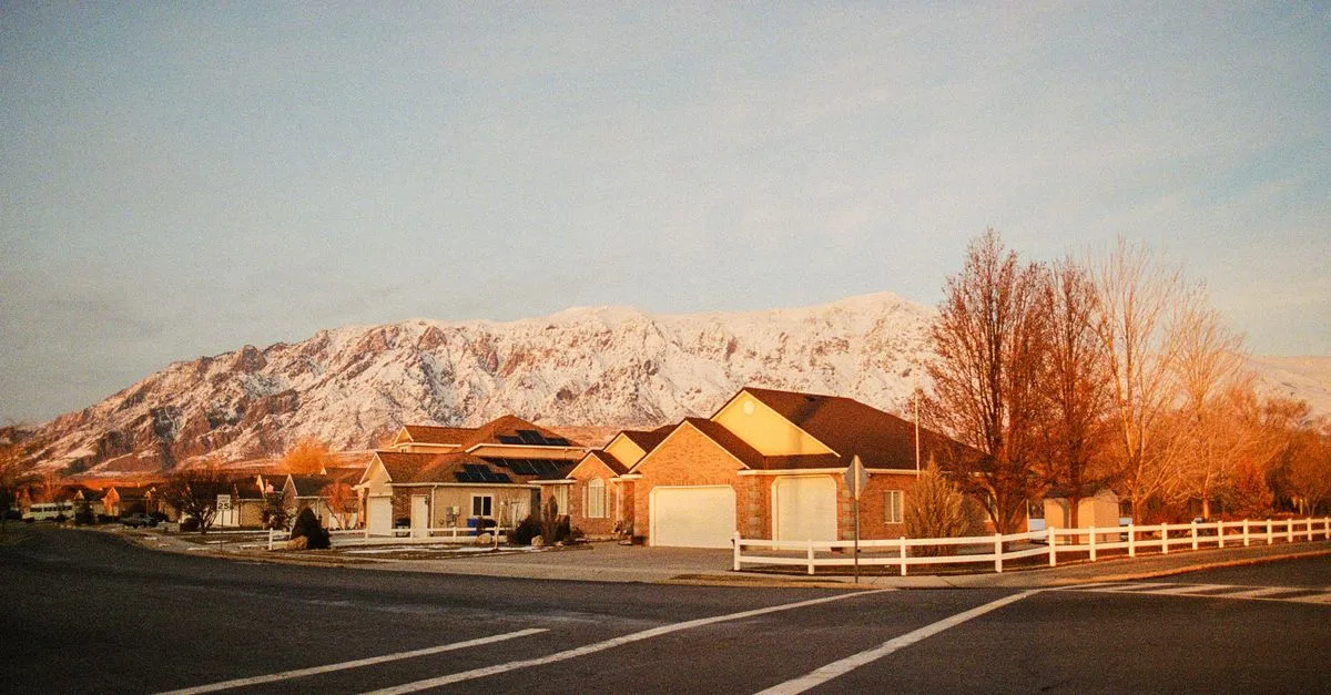 Quiet residential street of ranch-style homes below snow-capped Front Range peaks