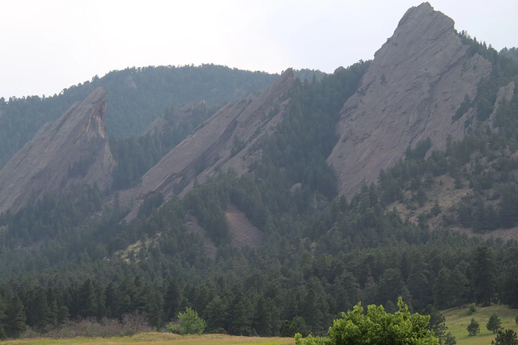 Close view of the jagged Flatirons foothills covered in pine forest