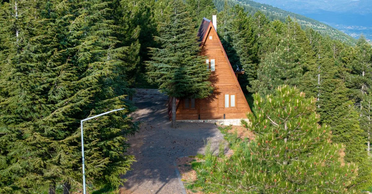 A wooden A-frame cabin surrounded by pine forest on a mountain hillside