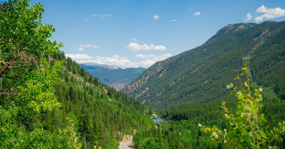 A road winding through a forested Colorado mountain canyon in the foothills near Boulder