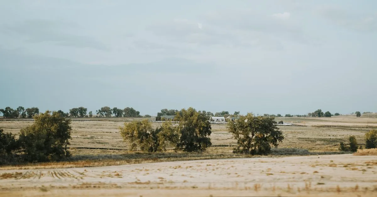 Flat Colorado farmland with cottonwoods and a distant farmhouse