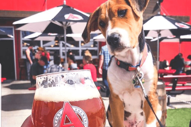 Avery Brewing - Boulder