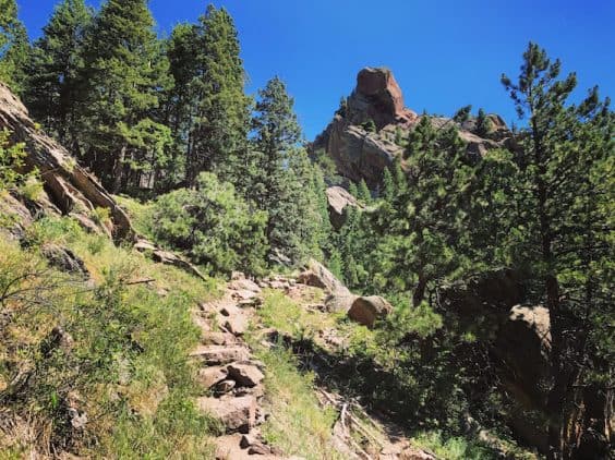 fern canyon boulder