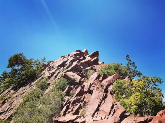 bear peak summit