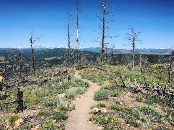 bear peak west ridge