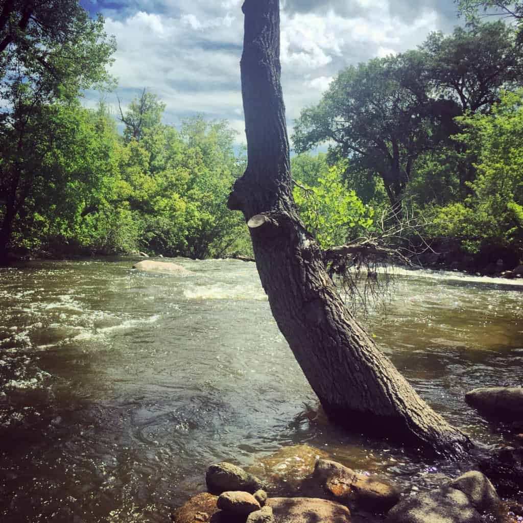 boulder creek path 3