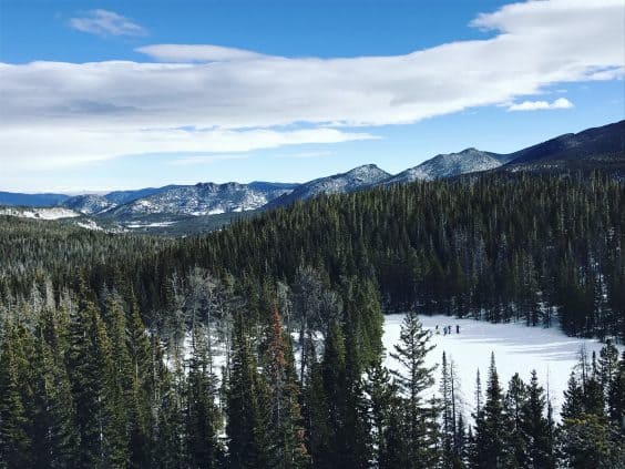 nymph lake RMNP