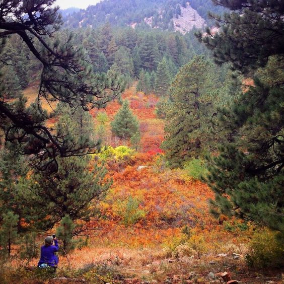 mesa trail boulder