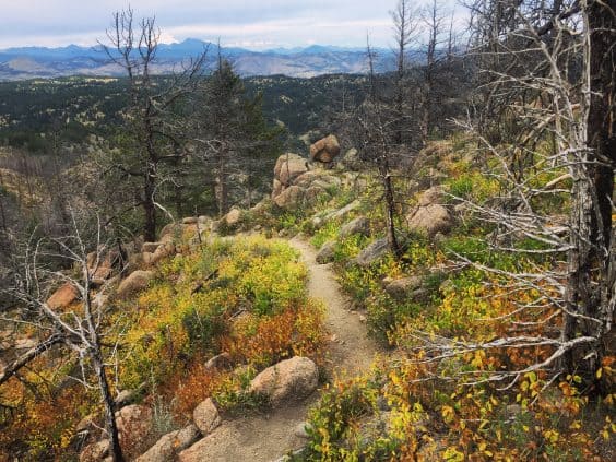 bear peak boulder