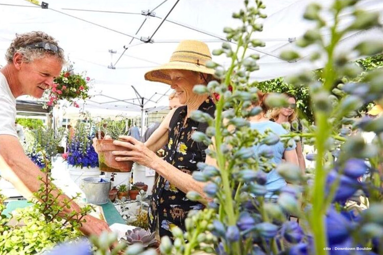 Fall Season in Boulder : Boulder Farmers Market - Your Boulder
