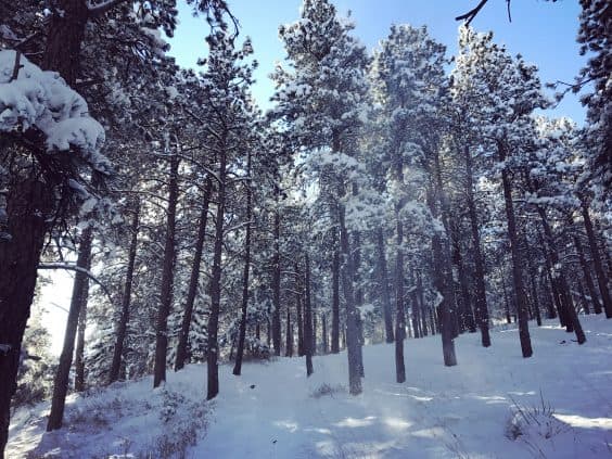 boulder chautauqua hike winter 4