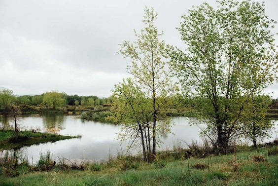 walden ponds boulder co 2