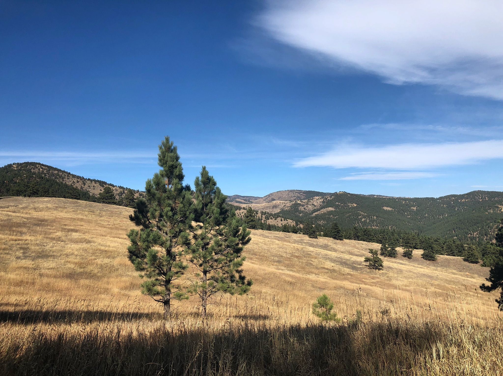 Betasso Preserve | 7 best hiking trails in Boulder