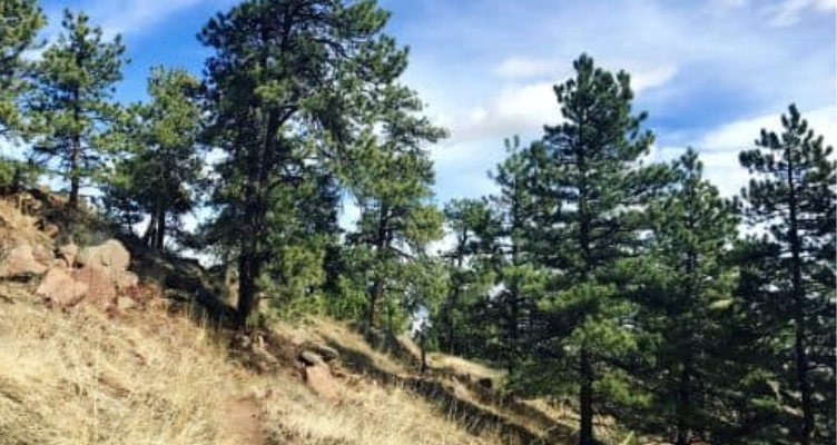 the Best Scenic Drives in Boulder