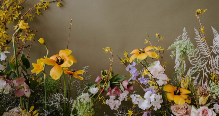 Best Flower Shops in Boulder | Boulder Blooms