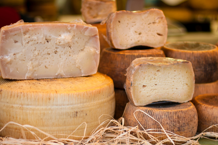 the Best Cheese Shops in Boulder, Colorado