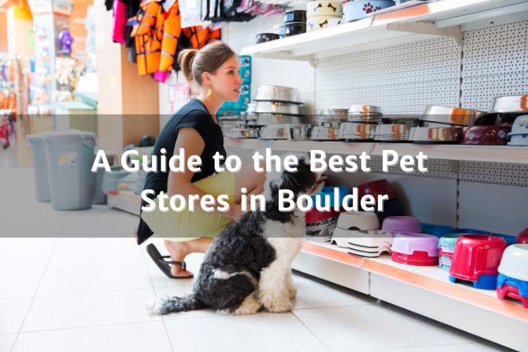 A Guide to the Best Pet Stores in Boulder