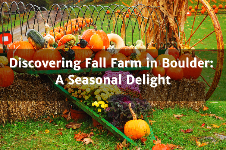 Discovering Fall Farm in Boulder: A Seasonal Delight