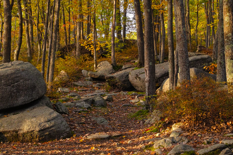 The Best Fall Hikes in Boulder